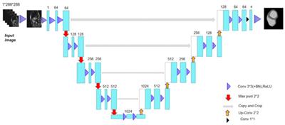 Deep learning-based image segmentation model using an MRI-based convolutional neural network for physiological evaluation of the heart